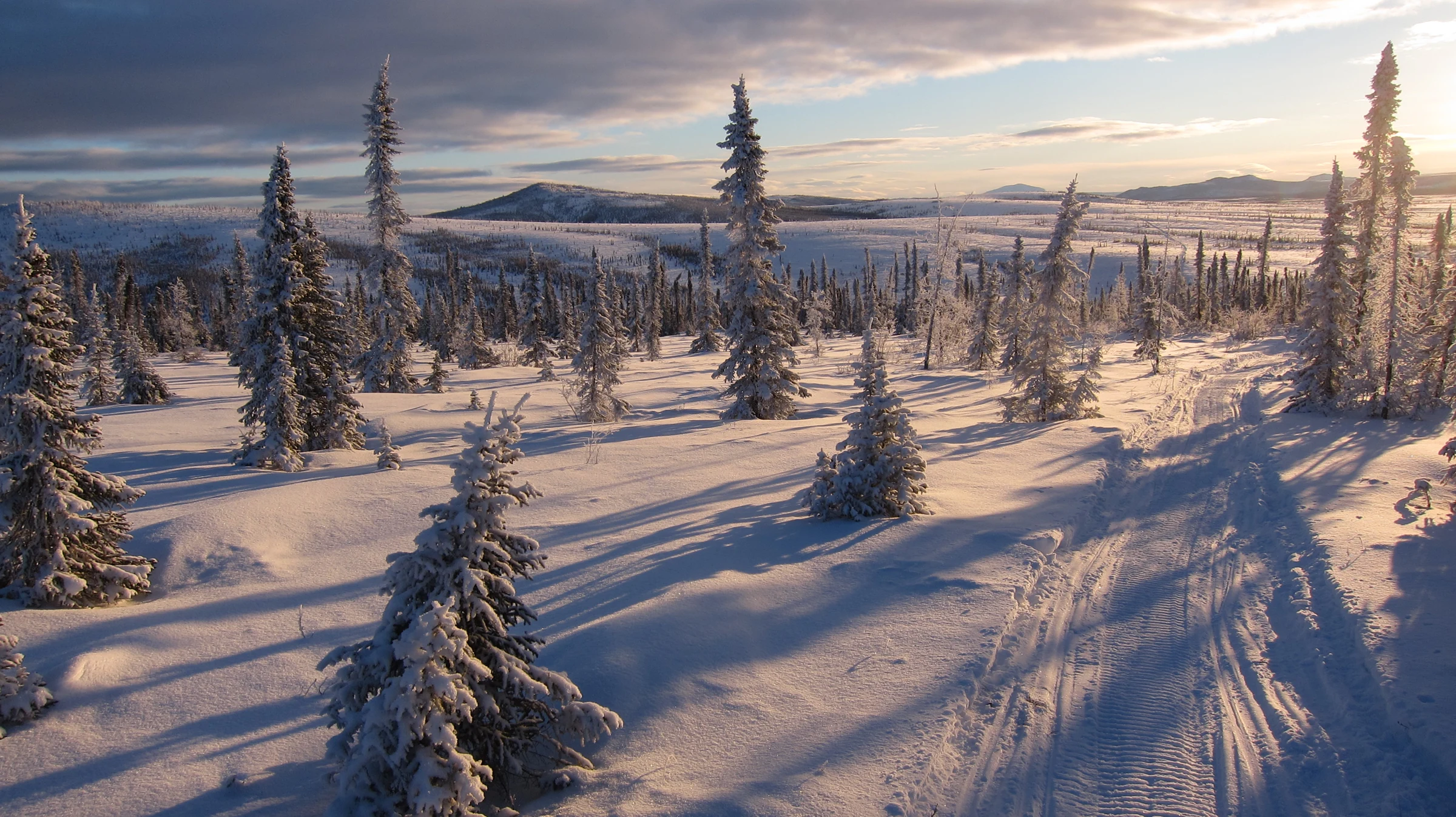 Fresh tracks in powder on the Iditarod National Historic Trail, photographed by Kevin Keeler, BLM