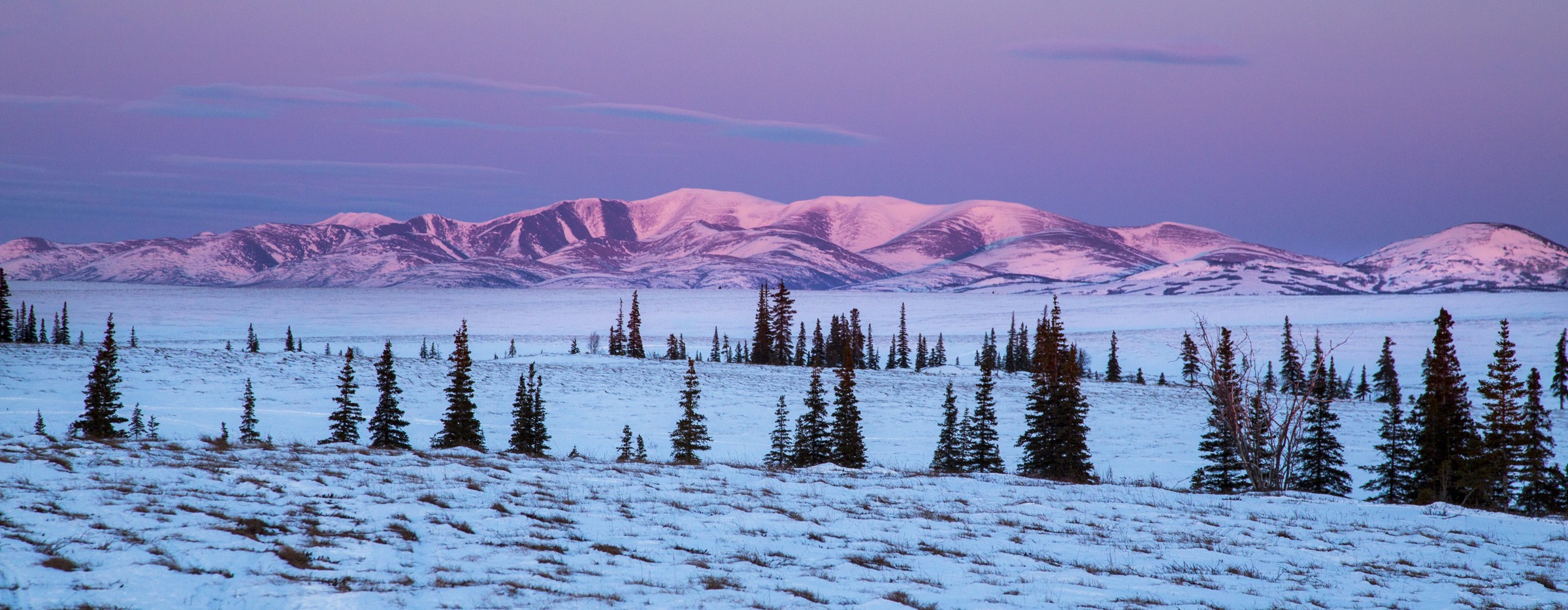 A winter landscape on the Iditarod National Historic Trail, photographed by Bob Wick, BLM